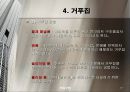 철근 콘크리트 구조.PPT자료 15페이지