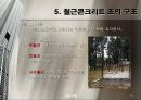 철근 콘크리트 구조.PPT자료 18페이지