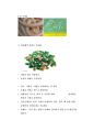 [A+] 면역계와 감염성 질환 감염성 질환의 역사 바이러스 박테리아 알러지 항생제 올바른 사용법 감염의 경로 감염의 4단계 감염에 대한 방어 후천성 면역을 얻는 3가지 방법 자가면역 질환 5페이지