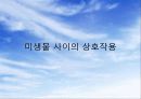 [A+] 미생물 사이의 상호작용 - 단일 미생물 집단에서의 상호작용, 긍정적 상호작용(협동), 부정적 상호작용(경쟁), 식물의 미생물 질병의 증상, 여러가지 질병 병원체의 보유 매개체ppt 1페이지