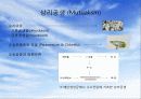 [A+] 미생물 사이의 상호작용 - 단일 미생물 집단에서의 상호작용, 긍정적 상호작용(협동), 부정적 상호작용(경쟁), 식물의 미생물 질병의 증상, 여러가지 질병 병원체의 보유 매개체ppt 12페이지