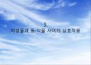 [A+] 미생물 사이의 상호작용 - 단일 미생물 집단에서의 상호작용, 긍정적 상호작용(협동), 부정적 상호작용(경쟁), 식물의 미생물 질병의 증상, 여러가지 질병 병원체의 보유 매개체ppt 14페이지
