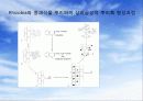 [A+] 미생물 사이의 상호작용 - 단일 미생물 집단에서의 상호작용, 긍정적 상호작용(협동), 부정적 상호작용(경쟁), 식물의 미생물 질병의 증상, 여러가지 질병 병원체의 보유 매개체ppt 16페이지