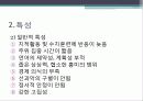 장애인 지적장애 5페이지