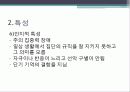 장애인 지적장애 9페이지