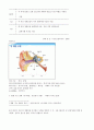 장애인의이해와봉사기말 14페이지
