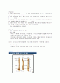 장애인 이해와 봉사 기말 21페이지