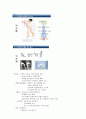장애인 이해와 봉사 기말 24페이지