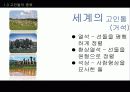 고인돌 9페이지