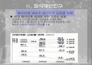 인구고령화에 따른 대책 16페이지