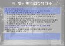 인구고령화에 따른 대책 29페이지