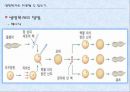 생명복제 6페이지