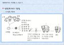생명복제 7페이지