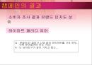 PPT자료광고홍보 21페이지