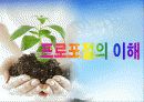 2012 성공적인 프로포절 작성법 .ppt 3페이지