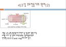 전동기에 관하여 34페이지