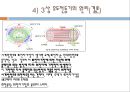 전동기에 관하여 35페이지