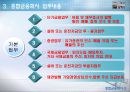 종합금융회사의 설립배경과 내용 5페이지