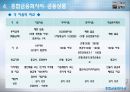 종합금융회사의 설립배경과 내용 11페이지
