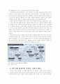 엘리뇨와 라니냐가 사회경제에 미친 영향 - 엘니뇨 발생과정, 라니냐의 발생과정, 사회적 경제적 영향, 우리나라에 끼진 영향 6페이지