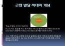 비고츠키의 사상, 이론 및 비계설명, 근접발달지대 15페이지