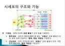 도구와기계의원리 04_인간의색인식원리 4페이지