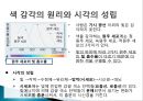 도구와기계의원리 04_인간의색인식원리 5페이지