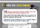 교정복지 29페이지