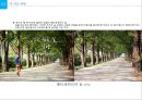 Haeundae City Design- 걷고싶은 해운대 만들기 18페이지