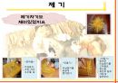 [유아교육] 우리나라 전통문화 교과 교재 교구 목록 6페이지