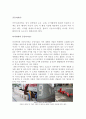공공디자인-도시 브랜드 마케팅-디자인을 활용한 도시브랜딩, 세계의 디자인 도시들, 2페이지
