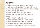 성폭력 현황 조사 및 성폭력 상담기관 실태 21페이지