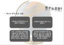 [A+] 미국, 프랑스, 일본의 복수노조 조사보고서 - 복수노조 주요내용필요성파급력 외국 복수노조 국가별차이점 단위노조차원 장.단점 문제점 피해사례 보완점.ppt 4페이지