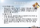 [A+] 호주에 대한 조사보고서 (문화,음식,주류,음료,식사,축제,숙박,교통,주요관광지) 12페이지