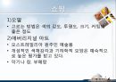 [A+] 호주에 대한 조사보고서 (문화,음식,주류,음료,식사,축제,숙박,교통,주요관광지) 37페이지