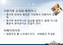 [A+] 호주에 대한 조사보고서 (문화,음식,주류,음료,식사,축제,숙박,교통,주요관광지) 38페이지