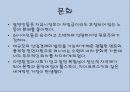 [A+] 러시아에 대한 조사보고서 (문화,음식,주류,음료,식사,축제,숙박,교통,주요관광지).ppt 5페이지