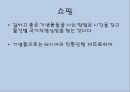 [A+] 러시아에 대한 조사보고서 (문화,음식,주류,음료,식사,축제,숙박,교통,주요관광지).ppt 32페이지