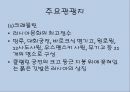 [A+] 러시아에 대한 조사보고서 (문화,음식,주류,음료,식사,축제,숙박,교통,주요관광지).ppt 35페이지