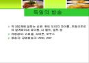 [A+] 독일에 대한 조사보고서, 독일문화, 독일의 지형, 인구, 경제, 방송, 학교, 음식, 주류, 음료, 축제, 맥주, 숙박, 교통, 주요관광지.ppt 12페이지