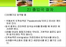 [A+] 독일에 대한 조사보고서, 독일문화, 독일의 지형, 인구, 경제, 방송, 학교, 음식, 주류, 음료, 축제, 맥주, 숙박, 교통, 주요관광지.ppt 16페이지