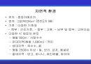[A+] 멕시코에 대한 조사보고서 (환경,문화,음식,주류,음료,식사,축제,숙박,교통,주요관광지).ppt 4페이지