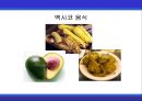 [A+] 멕시코에 대한 조사보고서 (환경,문화,음식,주류,음료,식사,축제,숙박,교통,주요관광지).ppt 13페이지