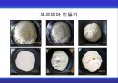 [A+] 멕시코에 대한 조사보고서 (환경,문화,음식,주류,음료,식사,축제,숙박,교통,주요관광지).ppt 23페이지