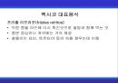 [A+] 멕시코에 대한 조사보고서 (환경,문화,음식,주류,음료,식사,축제,숙박,교통,주요관광지).ppt 29페이지