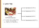 [A+] 독일의 교육제도, 중학교 교육과정, 고등학교 교육과정, 중학교배정, 대입시험, Abitur, Gymnasium Realschule, Hauptschule.ppt 3페이지