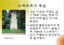 [A+] 낭만주의를 노래한 음악의 시인, 슈베르트 - 선생님, 괴테, 낭만파, 초기, 후기, 가곡의왕, 특징, 죽음.ppt 12페이지