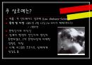 All about 라이너 마리아 릴케 - 결핍의 어린시절, 루 살로메, 작품세계, 작품설명, 작품소개, 특징, Rainer Maria Rilke, 릴케의 묘석.ppt 5페이지