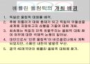 [A+] 독일의 올림픽 - 베를린올림픽, 뮌헨올림픽, 한국의성과, 에피소드, 개최배경, 대회특징.ppt 5페이지
