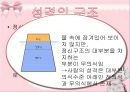 [A+] 프로이트의 정신 분석 이론 - 무의식, 성격의 구조, 원초아, 자아(ego), 승화론과 예술, 인간의성심리 발달단계, 잠복기, 생식기.ppt 3페이지
